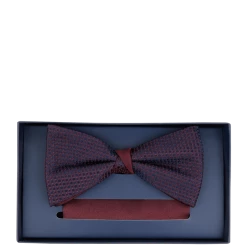 Willen Fliege Und Einstecktuch Aus Seide Im Set - Bordeaux Rot