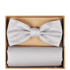 Seidenfalter Fliege Und Einstecktuch Im Set - Silber