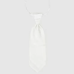 Seidenfalter Plastron Und Einstecktuch Im Set - Silber